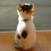 Profile Picture of Ruby Lim (@ruby.lim.9277583) on Facebook