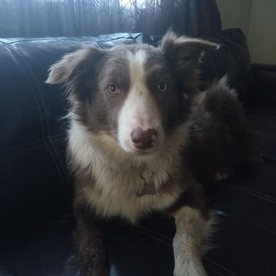 Profile Picture of Raquel Nevárez (@raquelnevarez99) on Twitter