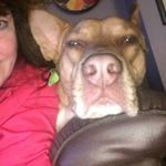 Profile Picture of Tina Kopperud Johnson (@tinalee200) on Instagram