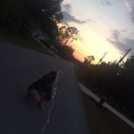 Profile Picture of 𝓑𝓻𝓲𝓪𝓾𝓷𝓪 𝓜𝓲𝓬𝓱𝓮𝓵𝓵𝓮 𝓛𝓪𝓟𝓸𝓲𝓷𝓽𝓮 (@aesthetics_beauty_grace) on Instagram