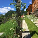 Profile Picture of Miky&Claudio&Henry (@aziendaagricolarainero) on Instagram