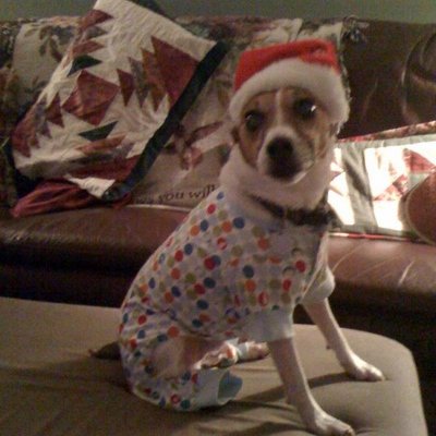 Profile Picture of Anne Tingle (@Atbob09) on Twitter