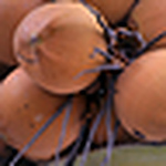 Profile Picture of Virgilio Gonzalez (@kagban) on Flickr