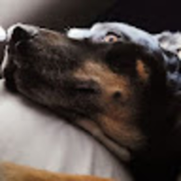 Profile Picture of Chase Ramsey (@chase_ramsey) on Poshmark