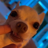 Profile Picture of Paula Arredondo (@paula-arredondo-6) on Quora