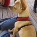 Profile Picture of Jo Petersen (@jo.petersen.5832) on Facebook