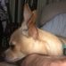 Profile Picture of Bennie Newcomb (@bennie.newcomb.98) on Facebook