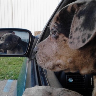 Profile Picture of Shawn Ashby (@ashby198) on Twitter