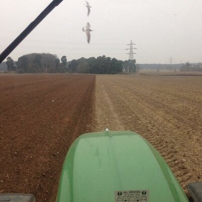 Profile Picture of Michael Hinsley (@HinsleyMichael) on Twitter