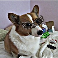 Profile Picture of Heather Hallingse (@heather-hallingse) on Quora