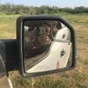 Profile Picture of danielberrones637 (@@danielberrones637) on Tiktok