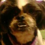 Profile Picture of Toni Tyler (@ttyler4473) on Instagram