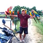 Profile Picture of JACKY GOOD : 081230777222 (@jackygood79) on Instagram