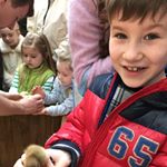 Profile Picture of Brian Mccorkell (@brian.mccorkell.50) on Instagram