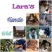 Profile Picture of Lara Lange (@lara.lange.90813) on Facebook