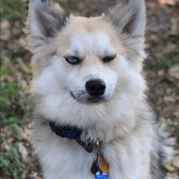 Profile Picture of Holly Dicrosta (@holly_dicrosta) on Poshmark