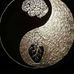 Profile Picture of Lima Ben (@lima.ben.562) on Facebook