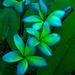 Profile Picture of Kimberly Kowalik (@kmesser71) on Pinterest