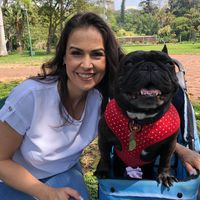 Profile Picture of Toni Baptista (@toni-baptista-3) on Quora