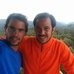 Profile Picture of Felipe Pulido (@viverosfelipon) on Instagram