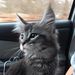 Profile Picture of Jeffrey Kegel (@jkegel1439) on Pinterest