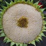 Profile Picture of Martin Lees (@martin_lees13) on Instagram