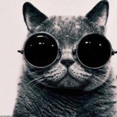 Profile Picture of Chris (@ChrisTehPlayer) on Twitter