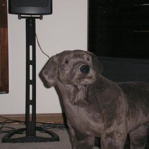 Profile Picture of Jason Charapata (@394214520) on Myspace