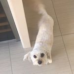 Profile Picture of Brian Harney:) (@brian_harney01) on Instagram