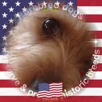 Profile Picture of Jodi Harris Garside (@jodi.garside) on Facebook