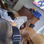 Profile Picture of Randy Wollin (@randy.wollin.2025) on Facebook