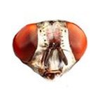 Profile Picture of André Ulmer (@ulmerandre) on Instagram