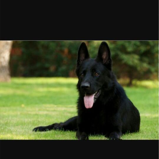 Profile Picture of Laura close (@laura040909) on Tiktok