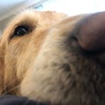 Profile Picture of Chris Shoup (@itsmechris107) on Instagram
