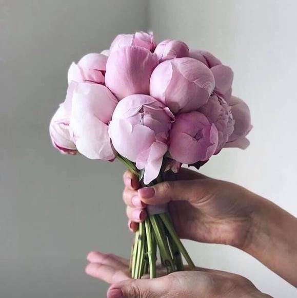 Profile Picture of Khanh Tran (@khanhtran284) on Poshmark