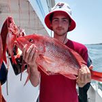 Profile Picture of Matthew McCaffrey (@matthew_qm) on Instagram