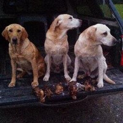 Profile Picture of Andy Westcott (@Westcott74) on Twitter