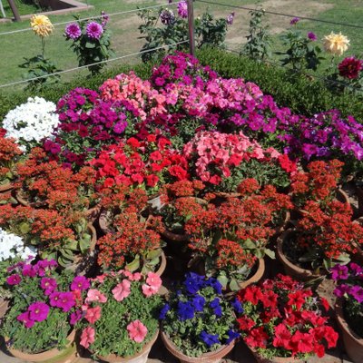 Profile Picture of Naina Bheemreddy (@bnaina100) on Twitter