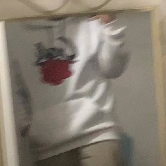 Profile Picture of Alexander Manzanares (@aaron00770772) on Poshmark