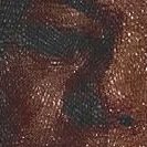 Profile Picture of Amanda Seddon (@Amandaseddon4) on Twitter