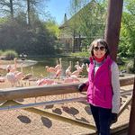 Profile Picture of Sandy Stephens Truman (@sstruman1) on Instagram