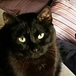 Profile Picture of Maureen Mo O'Keefe (@maureenmookeefe) on Instagram