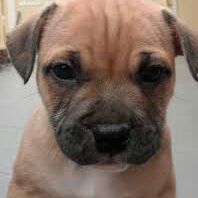 Profile Picture of jasmine waring (@jazz64756) on Tiktok