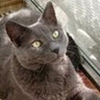 Profile Picture of Marie Cordalis (@marie-cordalis) on Quora