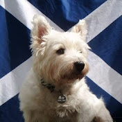 Profile Picture of Shona Campbell (@shonacampbell7026) on Youtube