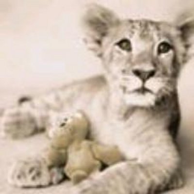 Profile Picture of Jillian Watkins (@JillianWatkin10) on Twitter