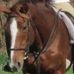 Profile Picture of Amy Sharkey (@amy.sharkey.9) on Facebook