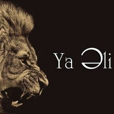 Profile Picture of Ali Rafiyev (@AliRafiyev) on Twitter