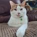 Profile Picture of Thomas Topp (@thomas.topp.75) on Facebook