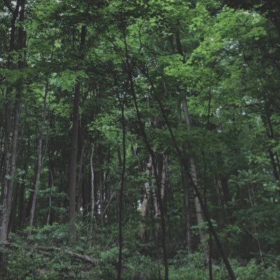 Profile Picture of Chris (@Chris_Campione) on Twitter